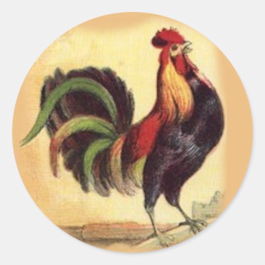 Gorgeoud Rooster Stickers (Vorderseite)