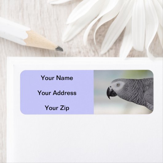 Gorgeous African Gray Parrot (Insitu)