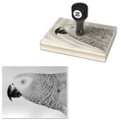 Gorgeous African Gray Parrot Gummistempel (Stempel)