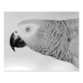 Gorgeous African Gray Parrot Gummistempel (Prägung)