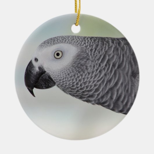 Gorgeous African Gray Parrot Keramikornament (Vorne)