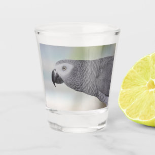 Gorgeous African Gray Parrot Schnapsglas