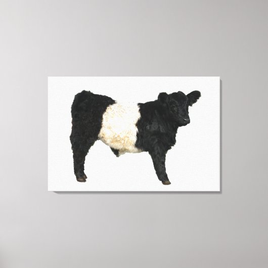 Gorgeous Belted Galloway Steer Cutout Beltie Gift  Leinwanddruck (Vorderseite)