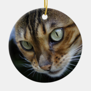 Gorgeous Bengal Cat Keramik Ornament