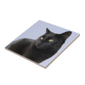 Gorgeous Black Cat Fliese (Seite)