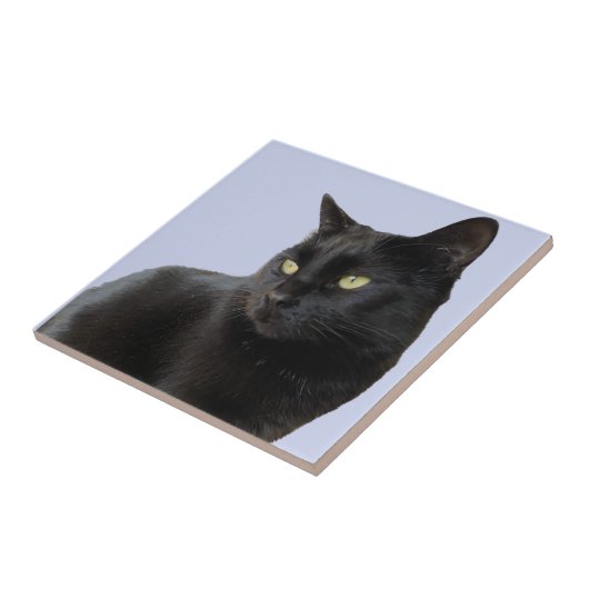 Gorgeous Black Cat Fliese (Seite)
