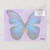 Gorgeous Blue Morpho Butterfly Postkarte (Rückseite)