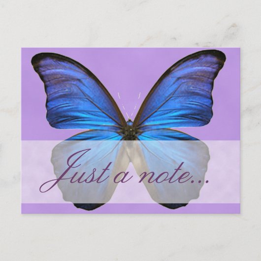 Gorgeous Blue Morpho Butterfly Postkarte (Vorderseite)