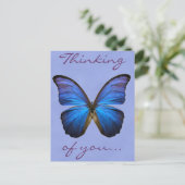 Gorgeous Blue Morpho Butterfly Postkarte (Stehend Vorderseite)