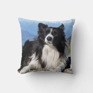 Gorgeous Border Collie Dog Schwarz-weiß Kissen