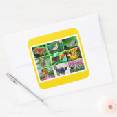 Gorgeous Butterflies Collage, 9 Fotos Quadratischer Aufkleber (Umschlag)