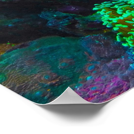 Gorgeous Coral Reef Poster (Ecke)