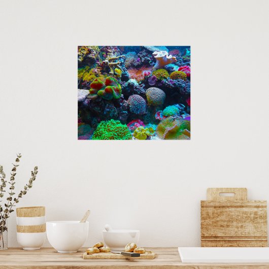 Gorgeous Coral Reef Poster (Küche)
