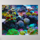 Gorgeous Coral Reef Poster (Vorne)