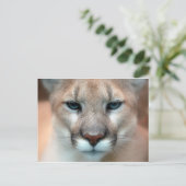 GORGEOUS COUGAR POSTKARTE (Stehend Vorderseite)