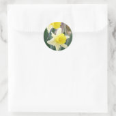 Gorgeous Daffodils Runder Aufkleber (Tasche)