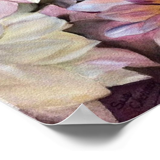 Gorgeous Dahlias Poster (Ecke)