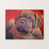 Gorgeous Dogue Puzzle (Horizontal)