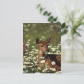 Gorgeous Fawn Postkarte (Stehend Vorderseite)