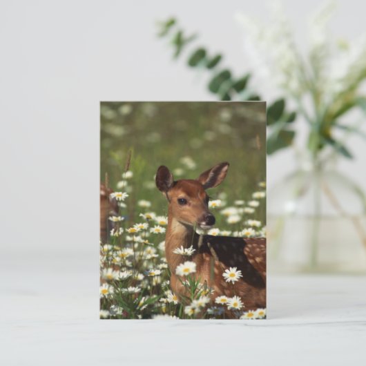 Gorgeous Fawn Postkarte (Stehend Vorderseite)