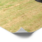 Gorgeous Friesian Horse Poster (Ecke)