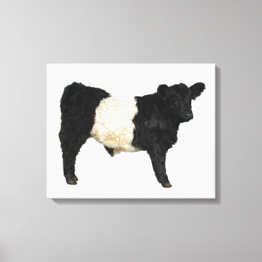 Gorgeous Galloway Steer Cutout Beltie Geschenk Leinwanddruck (Vorderseite)