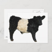 Gorgeous Galloway Steer Cutout Postkarte (Vorne/Hinten)