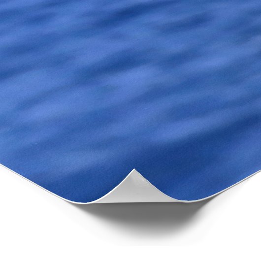 Gorgeous Gannet Poster (Ecke)