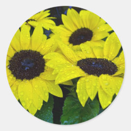 GORGEOUS GARDEN SUNFLOWERS RUNDER AUFKLEBER