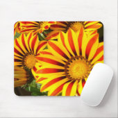 Gorgeous Gazania Mousepad (Mit Mouse)