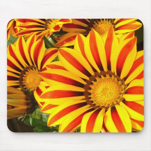 Gorgeous Gazania Mousepad (Vorne)