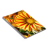Gorgeous Gazania Notizblock (Rechte Seite)