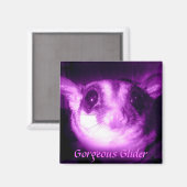Gorgeous Glider Magnet (Vorderseite/Rückseite)
