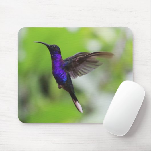 Gorgeous Hummingbird Mouse Pad Mousepad (Mit Mouse)