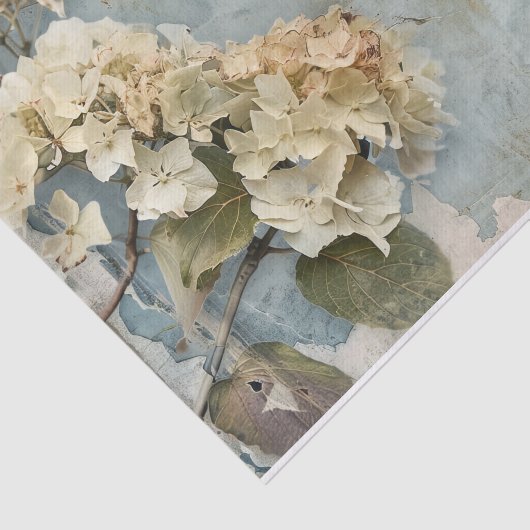 Gorgeous Hydrangea Gift Wrap Tissue Seidenpapier (Ausschnitt)