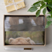 Gorgeous Kodiak Brown Bear Seidenpapier (Geschenk)