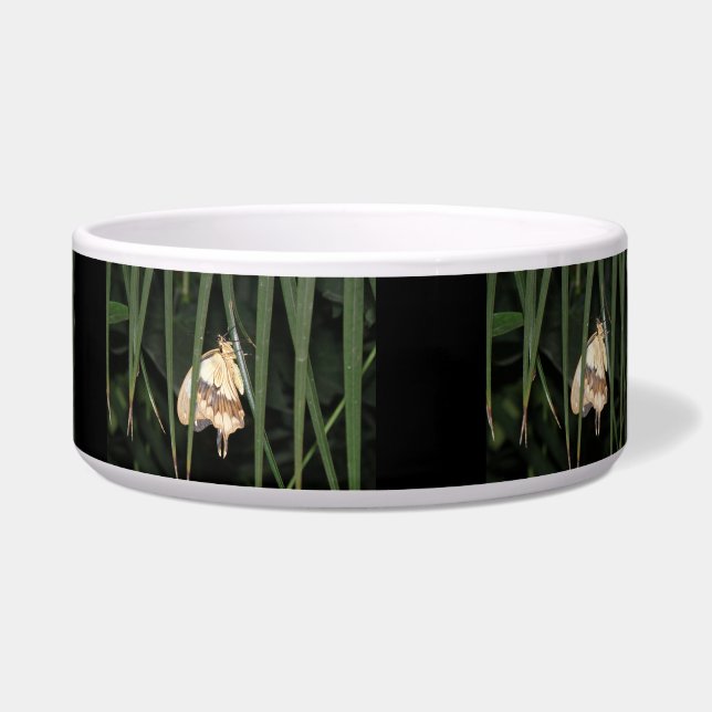 Gorgeous Moth Dog Bowl Napf (Rechts)