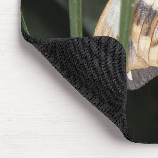 Gorgeous Moth Mousepad (Ecke)