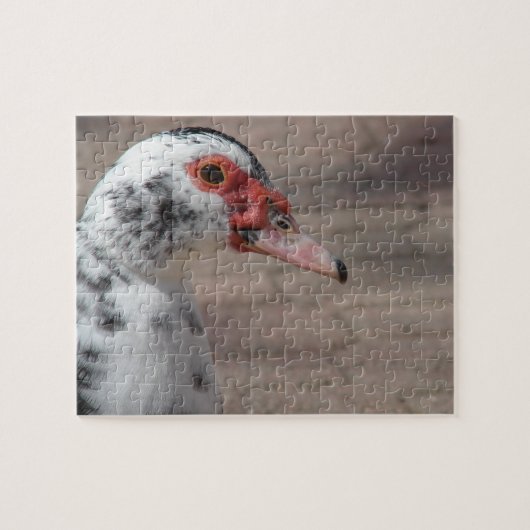 Gorgeous Muscovy Hen Duck Puzzle (Horizontal)