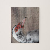 Gorgeous Muscovy Hen Duck Puzzle (Vertikal)