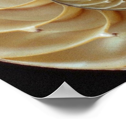 Gorgeous Nautilus Muschel Poster (Ecke)