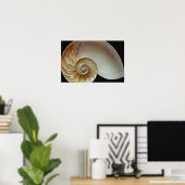 Gorgeous Nautilus Muschel Poster (Heimbüro)