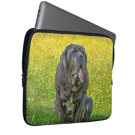 Gorgeous Neapolitan Mastiff Laptopschutzhülle (Vorne Rechts)