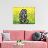 Gorgeous Neapolitan Mastiff Leinwanddruck (Insitu (Wohnzimmer))