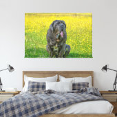 Gorgeous Neapolitan Mastiff Leinwanddruck (Insitu (Schlafzimmer))