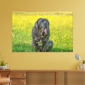 Gorgeous Neapolitan Mastiff Leinwanddruck (Insitu (Wohnzimmer))
