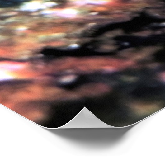 Gorgeous Nudi Poster (Ecke)