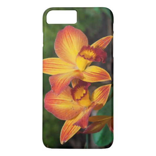 Gorgeous Orange Yellow Rhyncattleanthe Orchid Case-Mate iPhone Hülle (Rückseite)