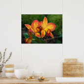 Gorgeous Orange Yellow Rhyncattleanthe Orchid Poster (Küche)