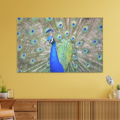 Gorgeous Peacock Leinwanddruck (Insitu (Wohnzimmer))